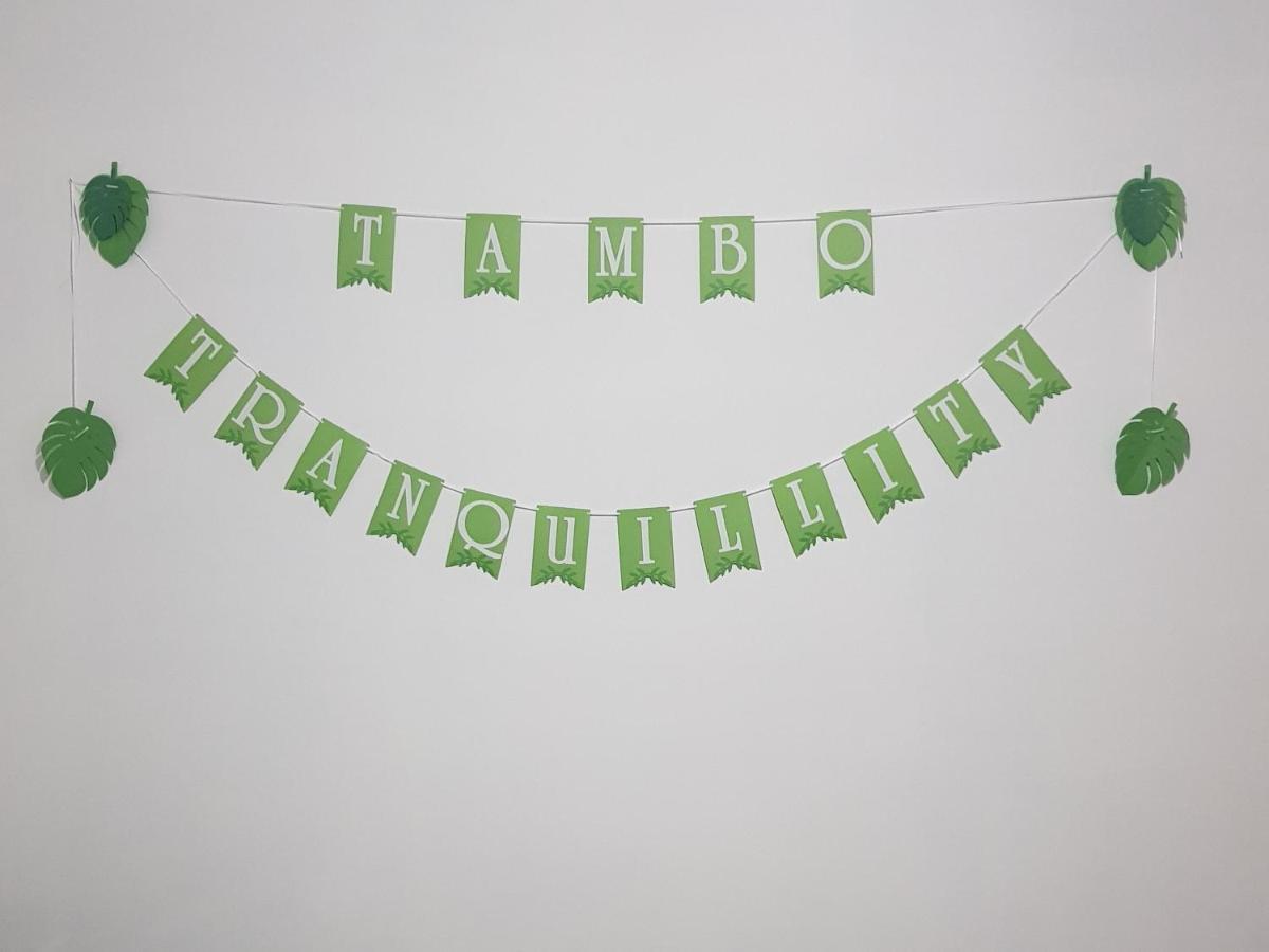 דירות מאונט טאמבורין Tambo Tranquility מראה חיצוני תמונה